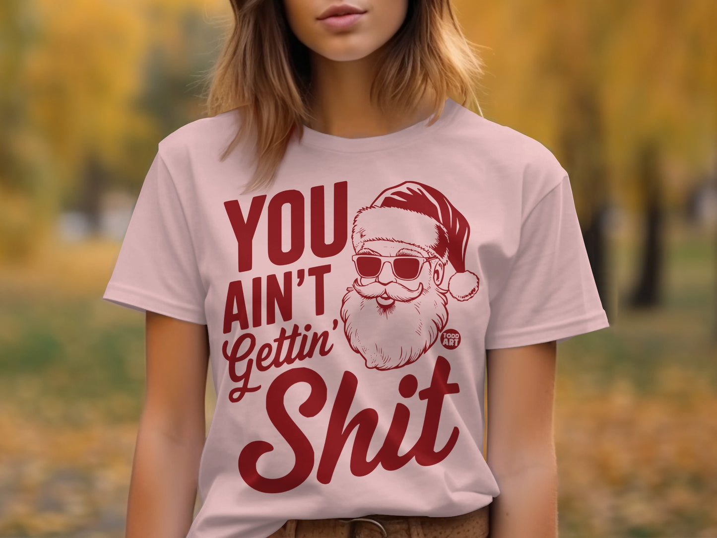 You Ain't Gettin' Shit Santa T-Shirt product type