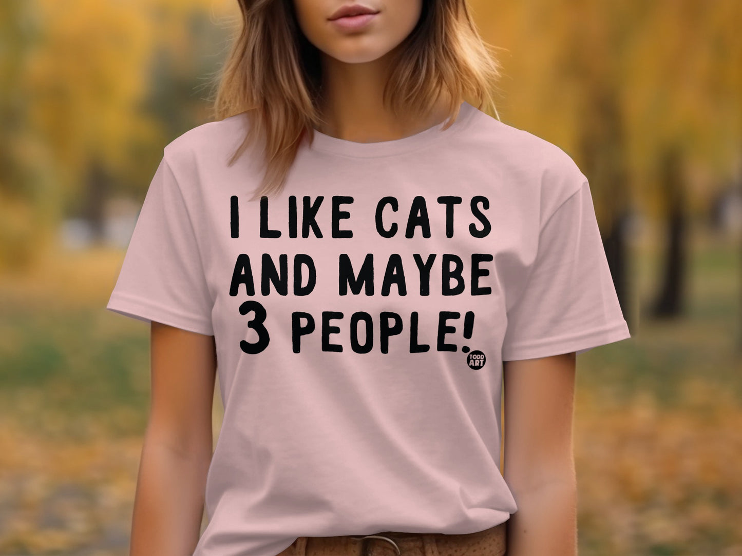 I Like Cats And Maybe 3 People Statement Shirt product type