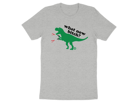 What Now Bitch Green T-Rex Graphic on Gray Shirt