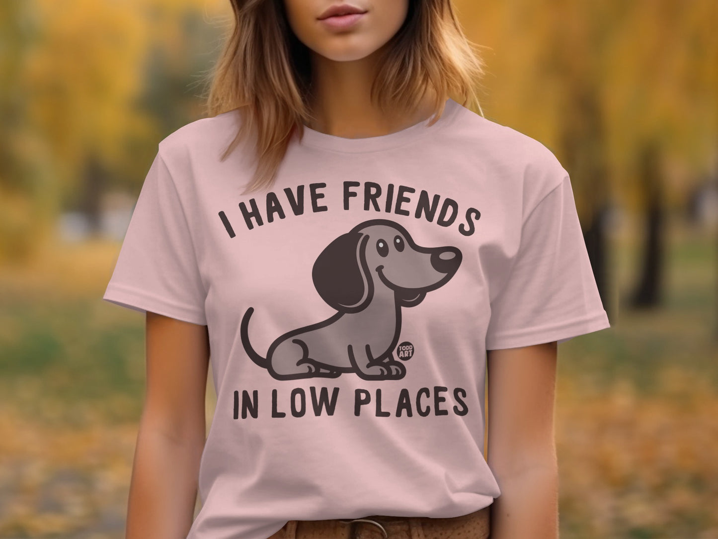 I Have Friends in Low Places Graphic Tee product
