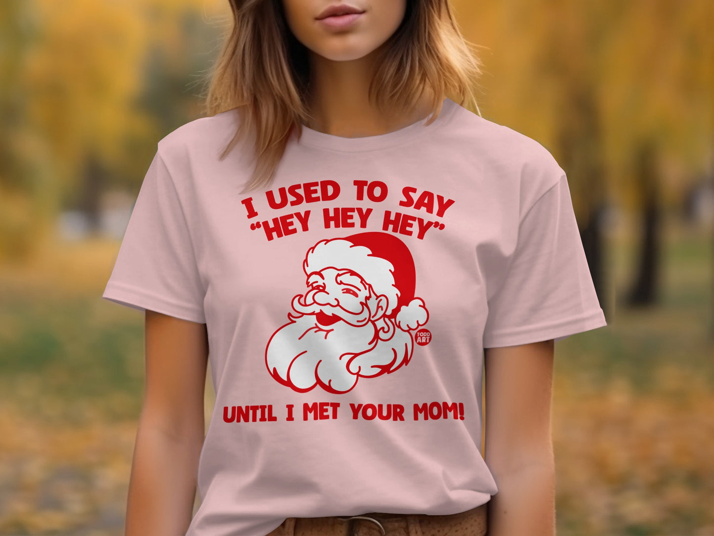 I Used to Say Hey Hey Hey Santa Graphic T-Shirt product