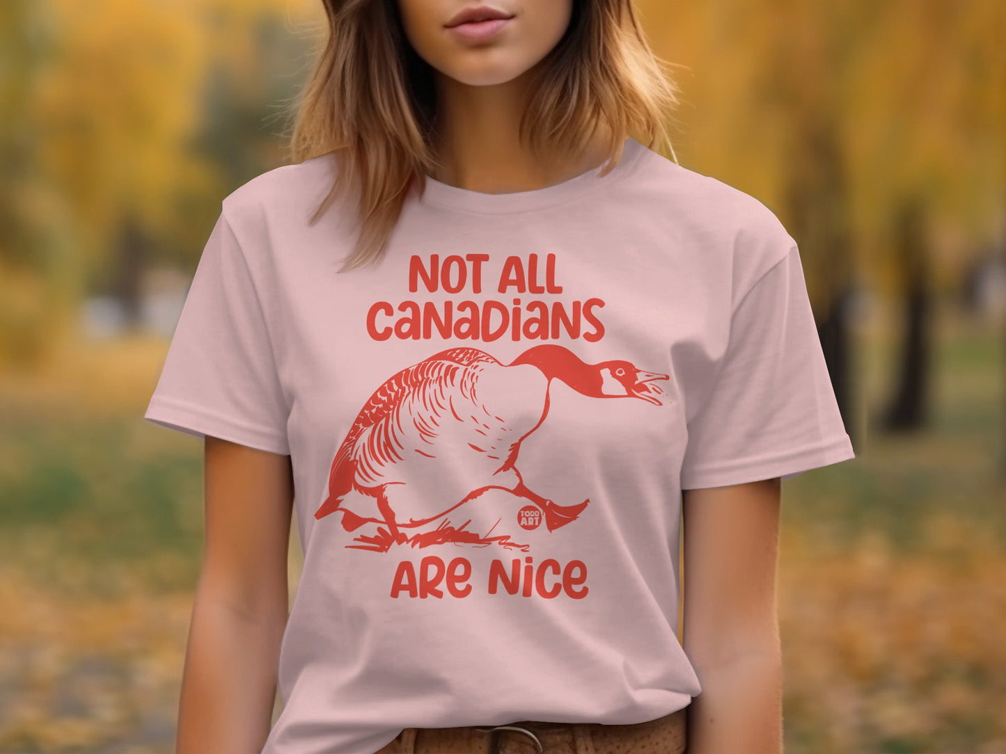 Not All Canadians Are Nice T-Shirt product type