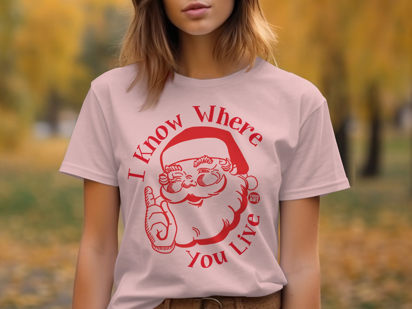 I Know Where You Live Santa Funny T-Shirt product