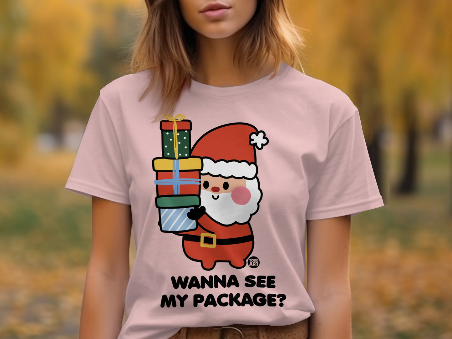 Wanna See My Package Santa Graphic T-shirt product