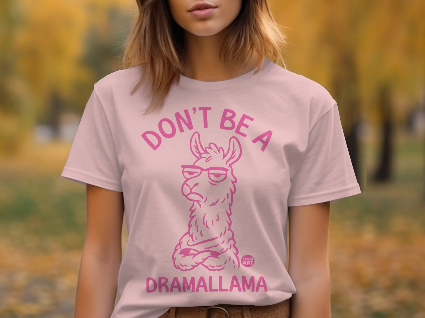 Don't Be a Dramallama Fun Graphic T-shirt product